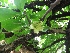  ( - MP333.1)  @11 [ ] Copyright (2014) G D Khedkar Paul Hebert Centre For DNA Barcoding And Biodiversity Studies