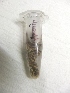  ( - MP559)  @11 [ ] Copyright (2013) PHCDBS Paul Hebert Centre for DNA Barcoding and Biodiversity Studies