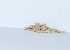  ( - SP10.1)  @11 [ ] Copyright (2014) PHCDBS Paul Hebert Centre for DNA Barcoding and Biodiversity Studies