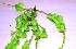  ( - NNP302)  @11 [ ] Copyright (2014) PHCDBS Paul Hebert Centre for DNA Barcoding and Biodiversity Studies