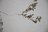  ( - DGC008)  @11 [ ] CreativeCommons - Attribution (2014) Aisha Tahir Centre for Biodiversity Genomics