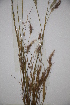  ( - DGC030)  @11 [ ] CreativeCommons - Attribution (2014) Aisha Tahir Centre for Biodiversity Genomics