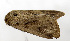  ( - ZZU.JHS4)  @11 [ ] CreativeCommons  Attribution Non-Commercial Share-Alike (2023) Unspecified University of Zhengzhou