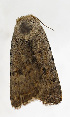  ( - ZZU.NM19)  @11 [ ] CreativeCommons  Attribution Non-Commercial Share-Alike (2023) Unspecified University of Zhengzhou
