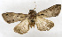 ( - ZZU.TB9)  @11 [ ] CreativeCommons  Attribution Non-Commercial Share-Alike (2023) Unspecified University of Zhengzhou