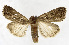  ( - ZZU.ZZ1)  @11 [ ] CreativeCommons  Attribution Non-Commercial Share-Alike (2023) Unspecified University of Zhengzhou