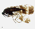  ( - NWAFU 3G3)  @13 [ ] CreativeCommons  Attribution Non-Commercial Share-Alike (2017) Unspecified Northwest A&F University