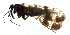  ( - NWAFU 3F12)  @14 [ ] CreativeCommons  Attribution Non-Commercial Share-Alike (2017) Unspecified Northwest A&F University