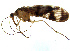  ( - NWAFU 4G10)  @13 [ ] CreativeCommons  Attribution Non-Commercial Share-Alike (2072) Unspecified Northwest A&F University