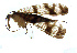  ( - NWAFU 4G11)  @11 [ ] CreativeCommons  Attribution Non-Commercial Share-Alike (2073) Unspecified Northwest A&F University