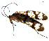  ( - NWAFU 4H1)  @14 [ ] CreativeCommons  Attribution Non-Commercial Share-Alike (2083) Unspecified Northwest A&F University