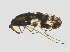  ( - BIORTP-030_B09)  @13 [ ] CreativeCommons - Attribution (2017) Unspecified Centre for Biodiversity Genomics