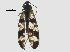  ( - BIORTP-030_B12)  @13 [ ] CreativeCommons - Attribution (2017) Unspecified Centre for Biodiversity Genomics