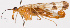  ( - NWAFU 5C11)  @13 [ ] CreativeCommons  Attribution Non-Commercial Share-Alike (2017) Unspecified Northwest A&F University