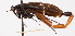  ( - NWAFU 5C1)  @11 [ ] CreativeCommons  Attribution Non-Commercial Share-Alike (2017) Unspecified Northwest A&F University