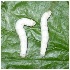  ( - CSR_9A)  @12 [ ] Unspecified (default): All Rights Reserved  Unspecified Unspecified