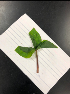  ( - SP-2019-7484)  @11 [ ] CreativeCommons  Attribution (by) (2019) Joseph W. Felts Davidson County Community College