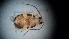  ( - DCVS-090)  @12 [ ] Copyright (2013) Unspecified Unspecified