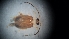  ( - DCVS-093)  @12 [ ] Copyright (2013) Unspecified Unspecified