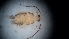  ( - DCVS-093)  @12 [ ] Copyright (2013) Unspecified Unspecified