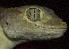  ( - FLI.0362)  @11 [ ] c  Unspecified Unspecified