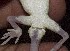  ( - FLI.0362)  @11 [ ] c  Unspecified Unspecified