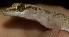  ( - FLI.0524)  @11 [ ] c  Unspecified Unspecified