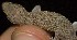  ( - FLI.0538)  @11 [ ] c  Unspecified Unspecified