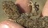  ( - FLI.0547)  @11 [ ] c  Unspecified Unspecified