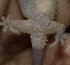  ( - FLI.0568)  @11 [ ] c  Unspecified Unspecified