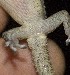  ( - FLI.0571)  @11 [ ] c  Unspecified Unspecified
