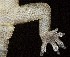  ( - FLI.0571)  @11 [ ] c  Unspecified Unspecified
