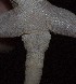  ( - FLI.0328)  @11 [ ] c  Unspecified Unspecified