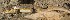  ( - FLI.0342)  @11 [ ] c  Unspecified Unspecified