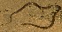  ( - FLI.0356)  @11 [ ] c  Unspecified Unspecified