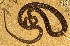  ( - FLI.0356)  @11 [ ] c  Unspecified Unspecified
