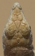  ( - FLI.0395)  @11 [ ] c  Unspecified Unspecified