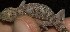 ( - FLI.0555)  @11 [ ] c  Unspecified Unspecified