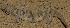  ( - FLI.0695)  @11 [ ] c  Unspecified Unspecified