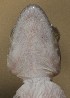  ( - FLI.0756)  @11 [ ] c  Unspecified Unspecified