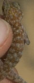  ( - FLI.0756)  @11 [ ] c  Unspecified Unspecified