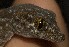  ( - FLI.0759)  @11 [ ] c  Unspecified Unspecified