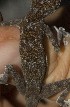 ( - FLI.0759)  @11 [ ] c  Unspecified Unspecified