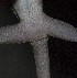  ( - FLI.0759)  @11 [ ] c  Unspecified Unspecified