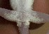  ( - FLI.0803)  @11 [ ] c  Unspecified Unspecified