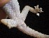  ( - FLI.0924)  @11 [ ] c  Unspecified Unspecified