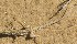  ( - FLI.1049)  @11 [ ] c  Unspecified Unspecified