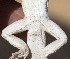  ( - FLI.1049)  @11 [ ] c  Unspecified Unspecified