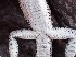  ( - JCB.0028)  @11 [ ] c  Unspecified Unspecified