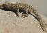  ( - FLI.0127)  @11 [ ] c  Unspecified Unspecified